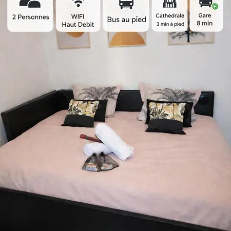 Appartement Cozy Au Coeur Du Centre Reims