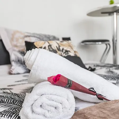 Cozy Au Coeur Du Centre *